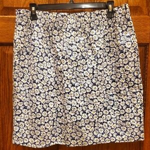 J Crew Skirt